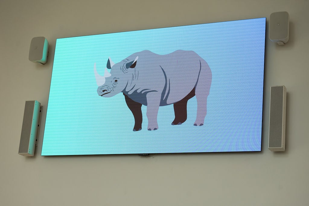 27062025WORKPLACEGIVINGAUSTRALIA-017