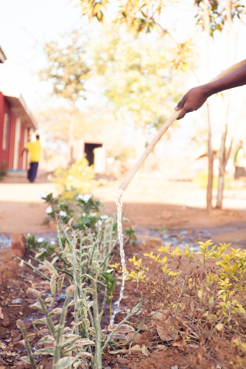 Watering plants in dry season charity grants